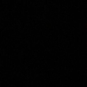 Meet your Posher, Camelia